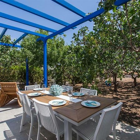 Aneli Luxury Villas-Villa Αίγινα Εξωτερικό φωτογραφία