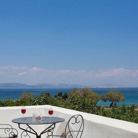 Aneli Luxury Villas-Villa Αίγινα Εξωτερικό φωτογραφία