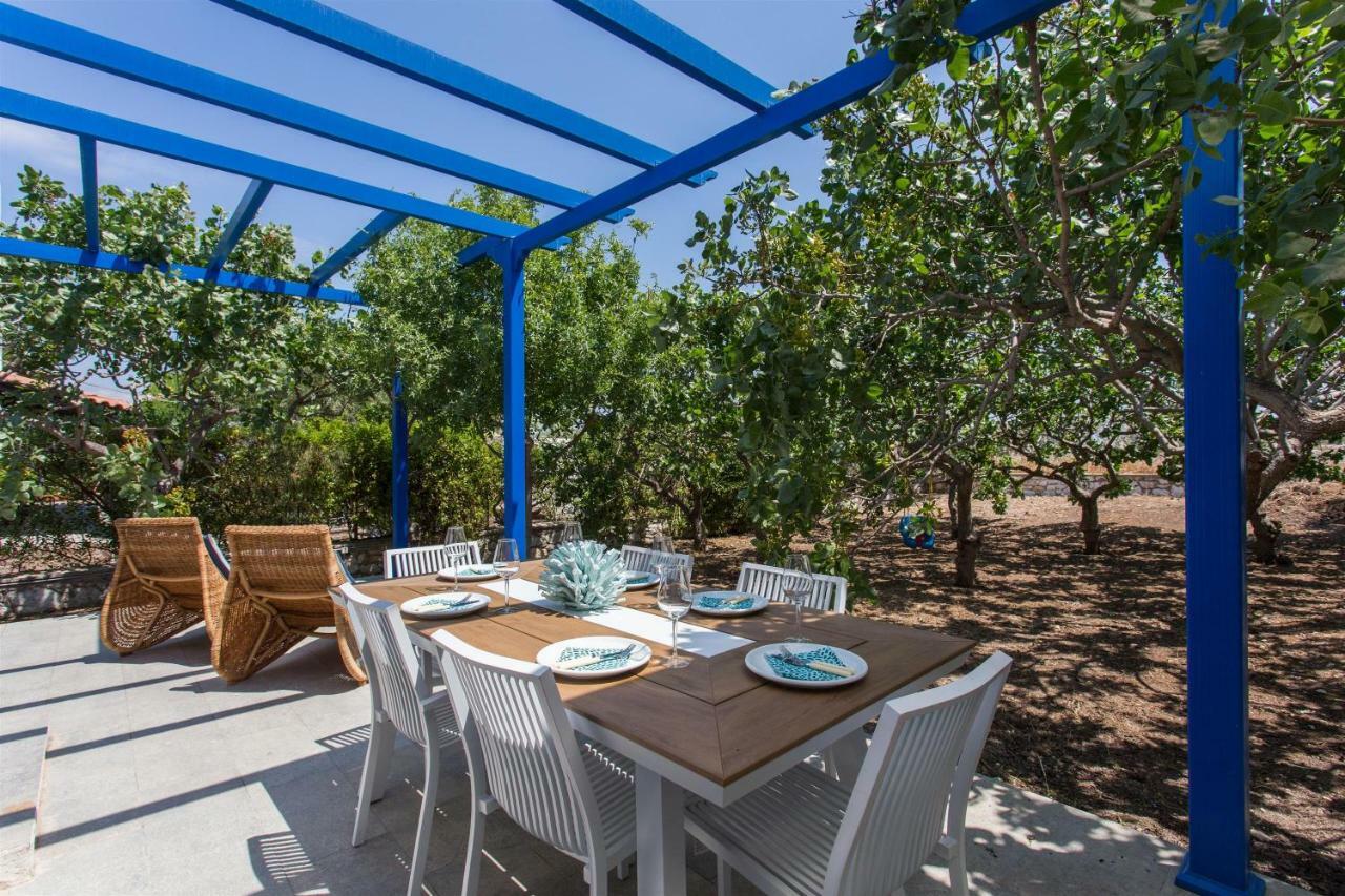 Aneli Luxury Villas-Villa Αίγινα Εξωτερικό φωτογραφία