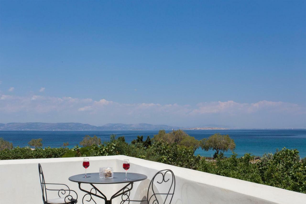 Aneli Luxury Villas-Villa Αίγινα Εξωτερικό φωτογραφία