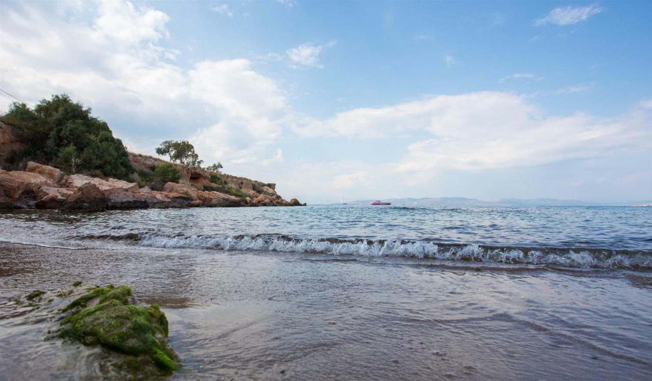 Aneli Luxury Villas-Villa Αίγινα Εξωτερικό φωτογραφία