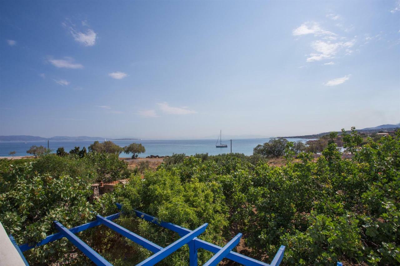 Aneli Luxury Villas-Villa Αίγινα Εξωτερικό φωτογραφία